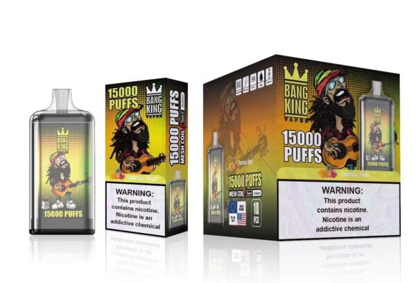 Bang King 15000 Puffs 0% 2% 3% 5% Nicotine Rechargeable Disposable Vape Wholesale - BookVape - 17
