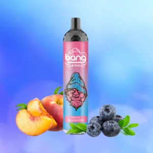 Bang King 6000 Puffs 0% 2% 3% 5% Nicotine Disposable Pod vape Wholesale - BookVape - 10