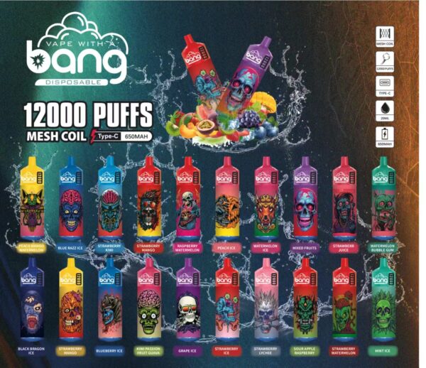 Bang Box 12000 Puffs 0% 2% 3% 5% Nikotin genopladelig engangsvape Engros - BookVape - 1