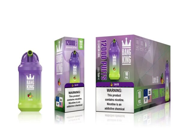 Bang King 12000 Puffs 0% 2% 3% 5% Nicotine Rechargeable Disposable Vape Wholesale - BookVape - 12