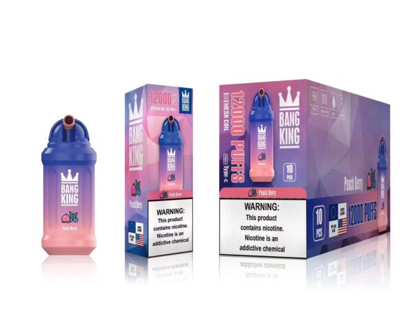 Bang King 12000 Puffs 0% 2% 3% 5% Nicotine Rechargeable Disposable Vape Wholesale - BookVape - 14
