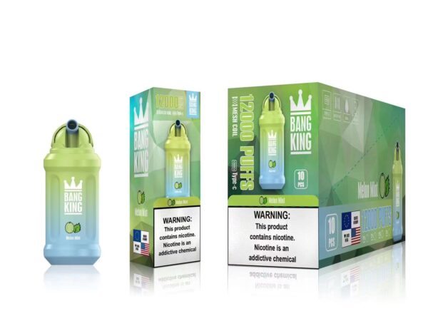 Bang King 12000 Puffs 0% 2% 3% 5% Nicotine Rechargeable Disposable Vape Wholesale - BookVape - 15