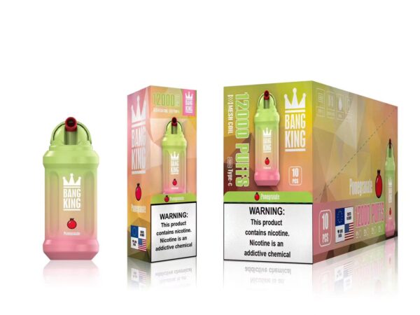 Bang King 12000 Puffs 0% 2% 3% 5% Nicotine Rechargeable Disposable Vape Wholesale - BookVape - 16