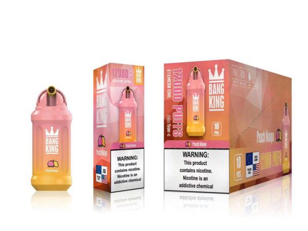 Bang King 12000 Puffs 0% 2% 3% 5% Nicotine Rechargeable Disposable Vape Wholesale - BookVape - 17