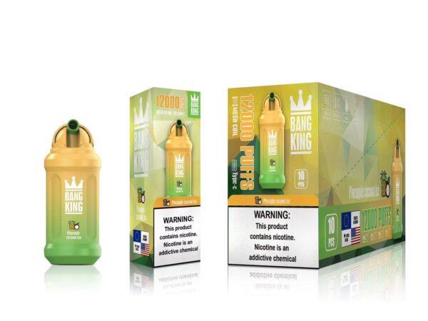 Bang King 12000 Puffs 0% 2% 3% 5% Nicotine Rechargeable Disposable Vape Wholesale - BookVape - 18