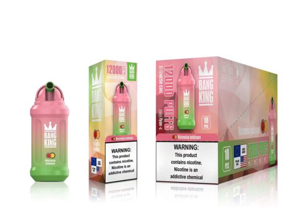 Bang King 12000 Puffs 0% 2% 3% 5% Nicotine Rechargeable Disposable Vape Wholesale - BookVape - 19