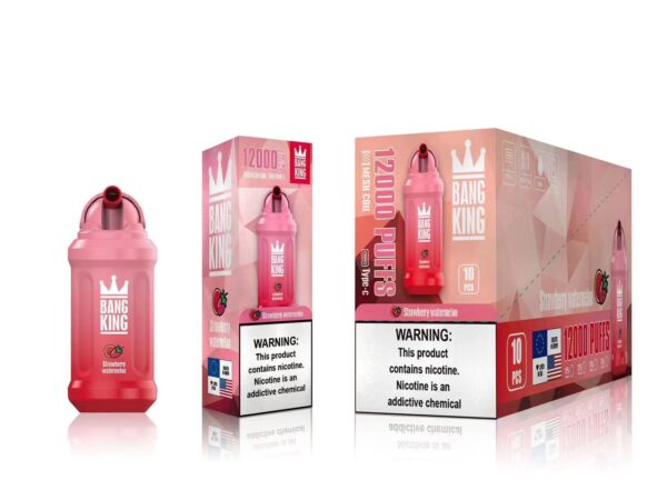Bang King 12000 Puffs 0% 2% 3% 5% Nicotine Rechargeable Disposable Vape Wholesale - BookVape - 20