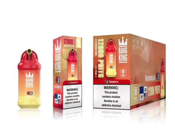 Bang King 12000 Puffs 0% 2% 3% 5% Nicotine Rechargeable Disposable Vape Wholesale - BookVape - 6