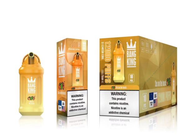 Bang King 12000 Puffs 0% 2% 3% 5% Nicotine Rechargeable Disposable Vape Wholesale - BookVape - 8