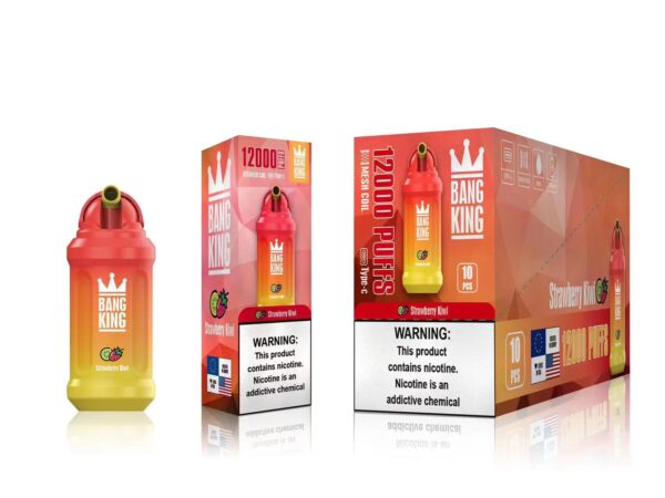 Bang King 12000 Puffs 0% 2% 3% 5% Nicotine Rechargeable Disposable Vape Wholesale - BookVape - 9