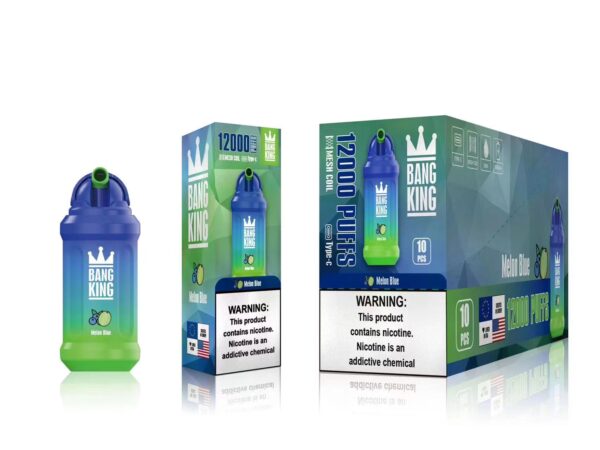Bang King 12000 Puffs 0% 2% 3% 5% Nicotine Rechargeable Disposable Vape Wholesale - BookVape - 10