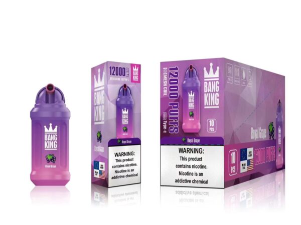 Bang King 12000 Puffs 0% 2% 3% 5% Nicotine Rechargeable Disposable Vape Wholesale - BookVape - 11